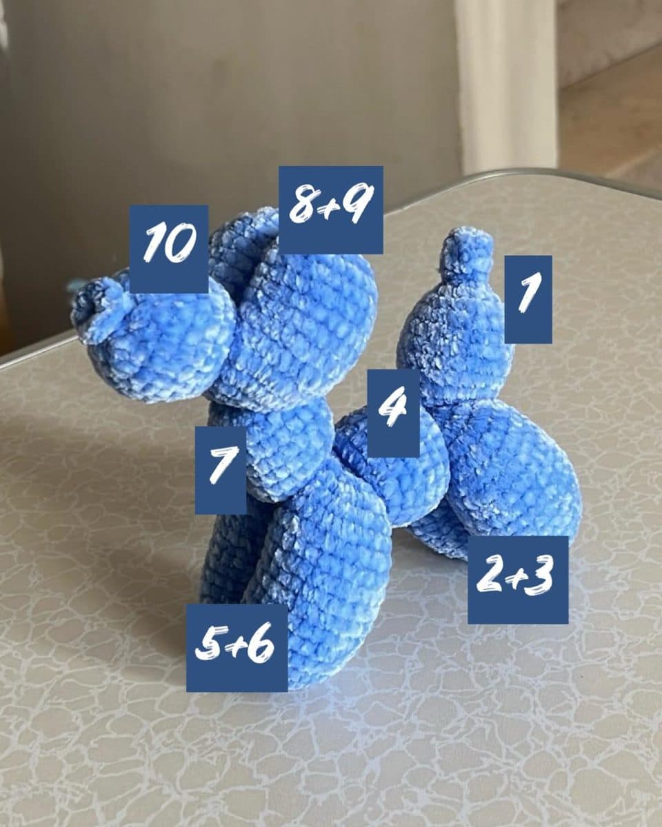 כל חלקי הגוף, ממוספרים בהתאם לשורות